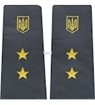 Молодший інспектор митної служби